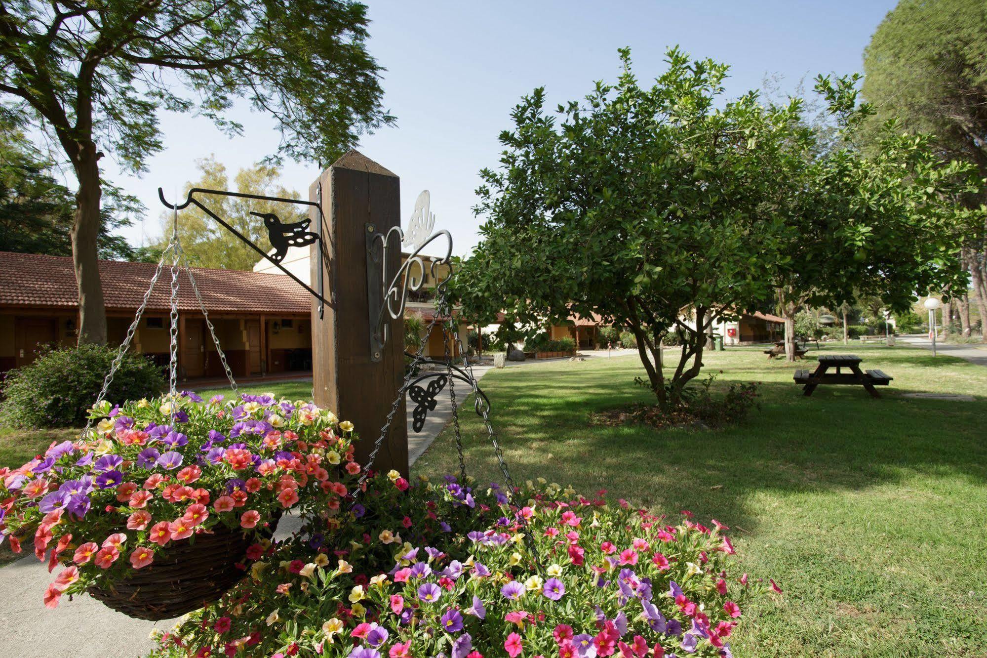 Nof Ginosar Kibbutz Hotel エクステリア 写真